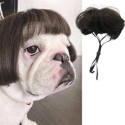 Haustierperücke Hundeperücke Halloween Haustier Accessoire lockiges Haar glattes Haar