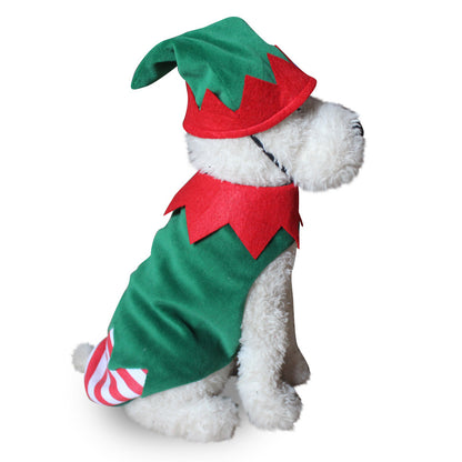 Dog Halloween costume with funny costumes