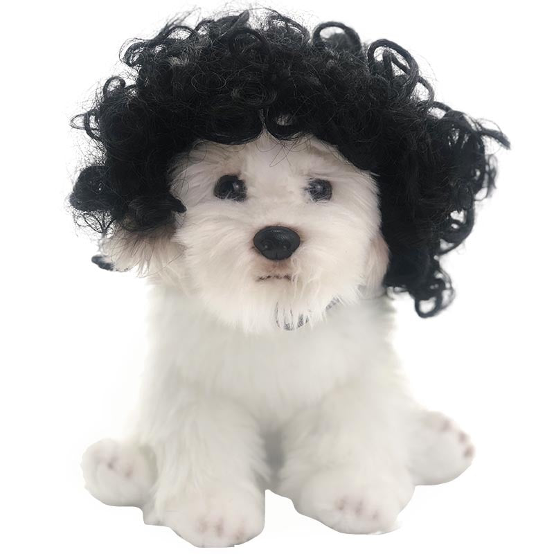 Haustierperücke Hundeperücke Halloween Haustier Accessoire lockiges Haar glattes Haar