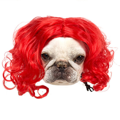 Haustierperücke Hundeperücke Halloween Haustier Accessoire lockiges Haar glattes Haar