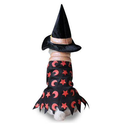 Dog Halloween costume with funny costumes