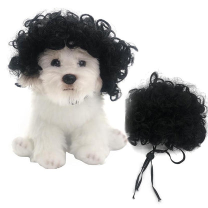 Haustierperücke Hundeperücke Halloween Haustier Accessoire lockiges Haar glattes Haar