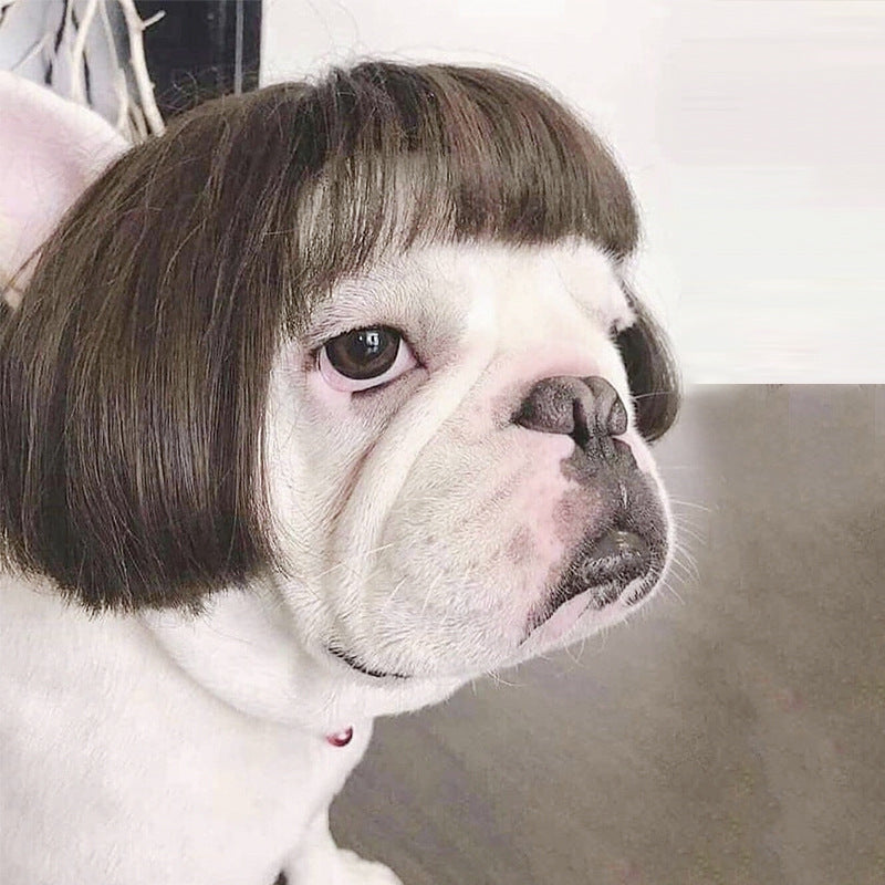 Haustierperücke Hundeperücke Halloween Haustier Accessoire lockiges Haar glattes Haar