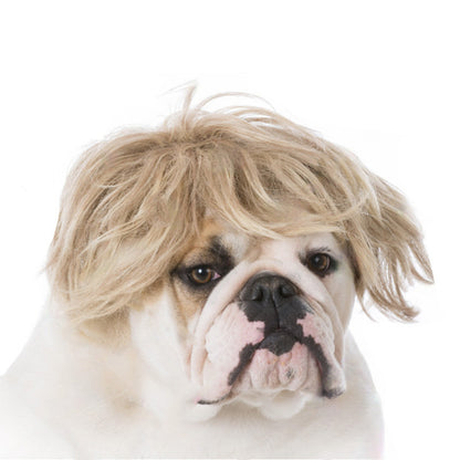 Haustierperücke Hundeperücke Halloween Haustier Accessoire lockiges Haar glattes Haar