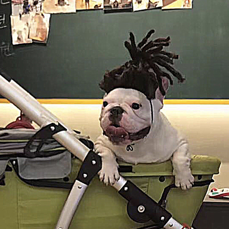 Haustierperücke Hundeperücke Halloween Haustier Accessoire lockiges Haar glattes Haar