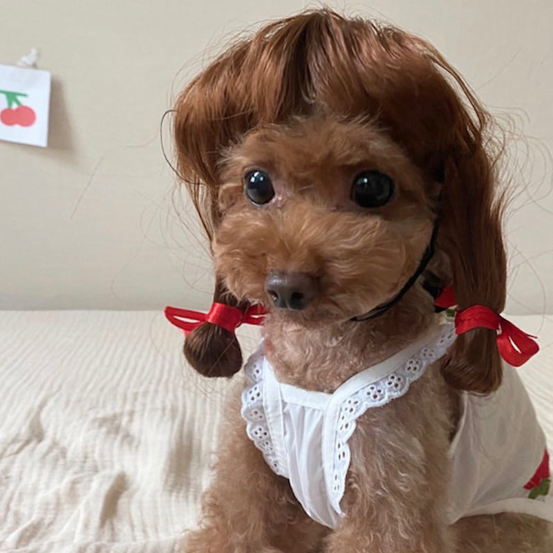 Haustierperücke Hundeperücke Halloween Haustier Accessoire lockiges Haar glattes Haar